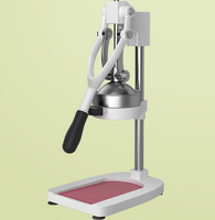 RVS professionele catering-sapcentrifuge - hoogrendements tandwielkern, eenvoudig te bedienen, merk TW