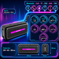 Tragbarer V5.3 10W Kabelloser Musik-Lautsprecher mit Ultra-Tiefbass, Wiederaufladbar, USB-Ladefunktion, Plastikgehäuse, Eingebautes Mikrofon