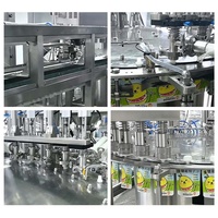 Machine de remplissage et de bouchage rotative automatique CE à 6 têtes pour sachets à bec verseur de 30-2000 ml (détergent lessive, yaourt, ketchup, huile)