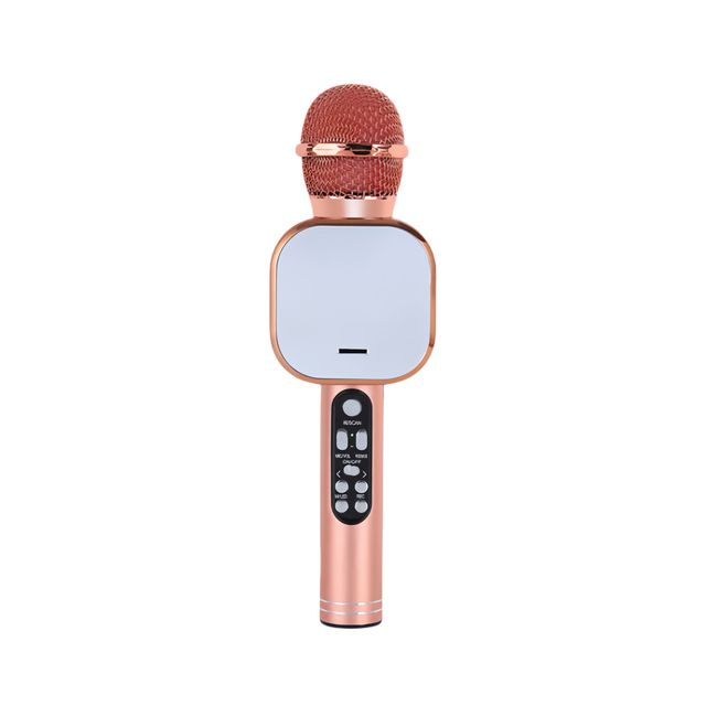 Kids Portable Karaoke Machine Wireless Microphone Speaker Handheld BT TWS RGB Speaker Party Singing Home KTV