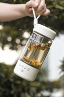 Tasse chauffante intelligente USB, bouilloire de voyage portable avec contrôle de la température, chauffe-eau électrique portable, bouilloire de voyage électrique