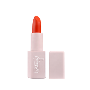 Rouge à lèvres personnalisé DSM 8 couleurs Imperméable Rose Rouge Beauté Lèvres Batom Rouge à lèvres mat Maquillage Facile à porter Gloss à lèvres cosmétique - Product Image 1