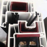 Ventana Corredera de PVC Multipista Personalizada con Malla de Acero Inoxidable y Precio de Fábrica para Comercio Internacional de Construcción