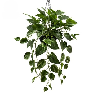 Jardinière suspendue artificielle Pothos-<span class=keywords><strong>Vigne</strong></span> au toucher réel avec feuilles tachetées, <span class=keywords><strong>vrilles</strong></span> simulées pour <span class=keywords><strong>la</strong></span> décoration suspendue du salon - Product Image 1