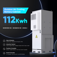 DAH OEM 특가 판매 215kWh 1255mm A급 LFP 셀 야외용 ESS -20~55C 범위 LiFePO4 공랭식 캐비닛