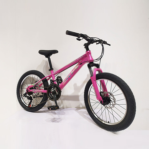Vélo pour enfant de 20 pouces pour fille de 8 ans, vélo d'école primaire, vélo de montagne, vélo pour enfant de 9 ans, une pièce, 20 pouces, vélo d'étudiant - Product Image 4