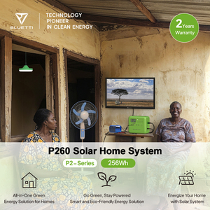 Unité d'alimentation tout-en-un BLUETTI P260 avec une capacité de 256 Wh pour les besoins énergétiques du Malawi et système d'éclairage solaire pour la maison - Product Image 6