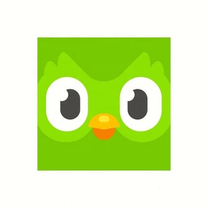 บัญชี Duolingo Pro ระดับพรีเมียม 1 ปี ใช้ได้ทั่วโลก เปิดใช้งานบัญชีของคุณเอง - Product Image 4
