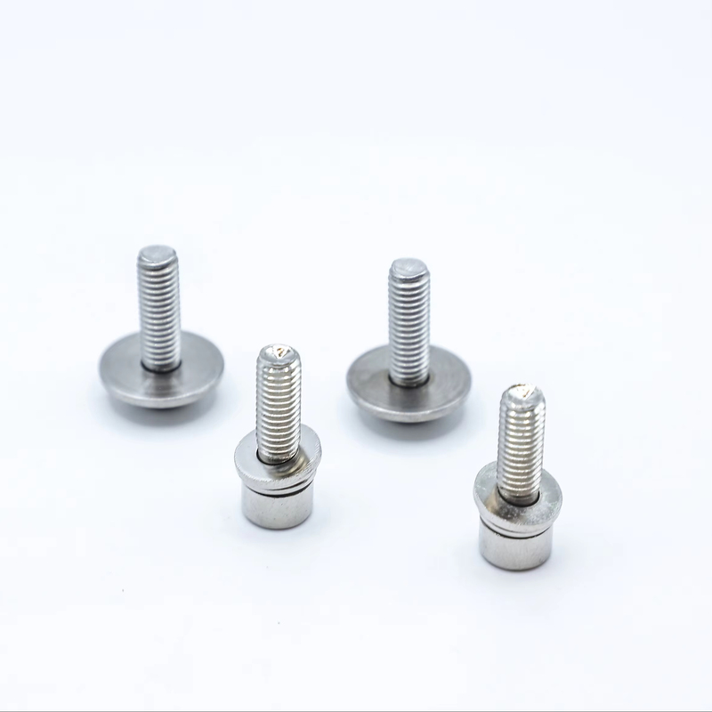 Screw Fasteners China Factory Customized Thread