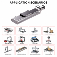 Pi Factory Direct Vérin linéaire à vis à billes, Plateau de positionnement linéaire, Haute répétabilité, Fourniture en gros, OEM pour le positionnement de caméras