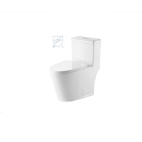 Suites de salle de bain de luxe modernes, cuvette de toilette monobloc en céramique, raccords en PP montés au sol, accessoires de toilette télécommandés