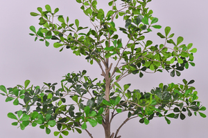 Árbol Artificial <span class=keywords><strong>de</strong></span> Terminalia, Árbol Tropical <span class=keywords><strong>de</strong></span> <span class=keywords><strong>Almendro</strong></span>, Planta Artificial Alta para Interiores, Sin Mantenimiento, para Decoración <span class=keywords><strong>de</strong></span> Vestíbulos <span class=keywords><strong>de</strong></span> Hoteles, Oficinas y Espacios Comerciales - Product Image 4