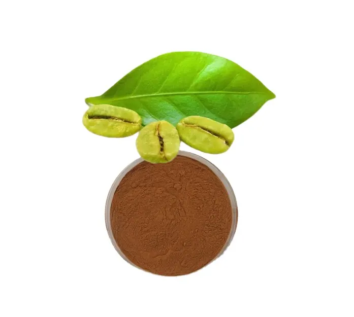 Bestseller bio-Natur-Lebensmittelgrad grünes Kaffeebohnen-Extraktpulver
