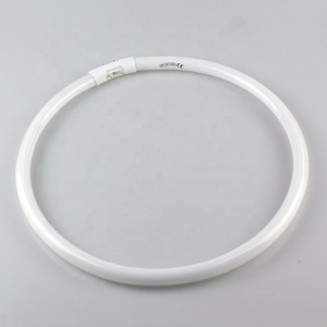 <span class=keywords><strong>T5</strong></span> 2gx13 Tri phosphor huỳnh quang ống ánh sáng 22W <span class=keywords><strong>32W</strong></span> 40W 55W 3500K 4100k 6500K Ống huỳnh quang ánh sáng, FLT-CIRCLE - Product Image 1