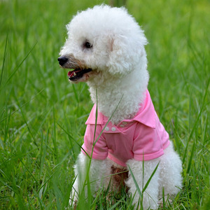 Cat Custom Wholesale Plain Blank <strong>T</strong> <strong>T</strong>-<strong>shirt</strong> Polo Pet <strong>Dog</strong> <strong>Shirt</strong> <strong>for</strong> <strong>Dogs</strong> - Product Image 3