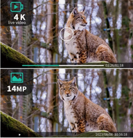 Специальная высокопроизводительный мини-базовая версия 4K 48PM видео широкоугольный ИК-диапазон 20 м/85 футов водонепроницаемая камера для наблюдения за дикой природой IP65