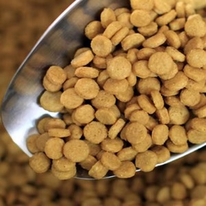 Ligne de production continue de machines à granulés d'aliments pour chiens et chats en acier inoxydable, extrudeuse automatique pour aliments secs - Product Image 5