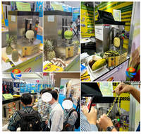 FENGXIANG Desktop Ananas Schilmachine, Verstelbare Schil Dikte, Fruit Schiller voor Fruitverwerkingsbedrijven FXP-66S