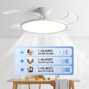 <b>Ceiling</b> <b>Fan</b> Light With Led Light Source For Living Room Bedroom Fixed Blade Invisible <b>Fan</b> Light From Zhongshan - Product Image 2