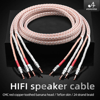 1 paire de câbles pour haut-parleurs HiFi 12TC, de haute qualité, en OCC pur, avec prise banane, pour moniteur et amplificateur d'enceintes d'ordinateur