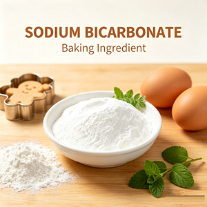<span class=keywords><strong>Bicarbonate</strong></span> <span class=keywords><strong>de</strong></span> <span class=keywords><strong>soude</strong></span> <span class=keywords><strong>de</strong></span> qualité <span class=keywords><strong>alimentaire</strong></span> haute pureté 99,7 % min, CAS 144-55-8, poudre blanche <span class=keywords><strong>pour</strong></span> additifs alimentaires et usage en boulangerie - Product Image 3