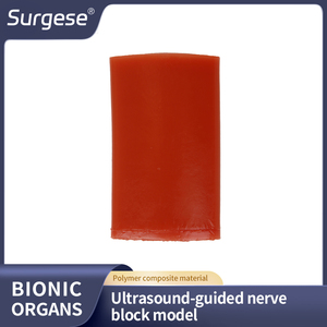Modelo Anatómico Biónico de Hidrogel Compuesto de Polímero para Entrenamiento de Bloqueo Nervioso Guiado por Ultrasonido, Educación en Ciencias Médicas - Product Image 5