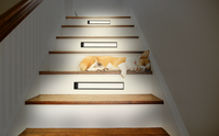 Installation magnétique LED USB Rechargeable batterie lumières sans fil IR capteur de porte intelligent sous l'armoire veilleuse verre givré 80