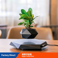 Levitación Magnética para Plantas Artificiales, Flores, Decoración del Hogar, Dormitorio, Jardín, Bonsái Flotante, Maceta Levitante