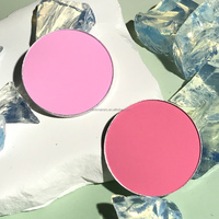 Palette de fard à joues DIY avec logo personnalisé, poudre de visage légère, fard à joues 11 couleurs, haute pigmentation, minéral, mélangeable, poudre de contour