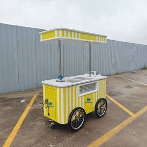Chariot à glaces personnalisé, grand et magnifique, pour gelato, glaces et sorbets, chariot à glaces mobile à pousser à la main - Product Image 2