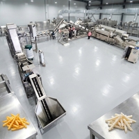 Línea de Producción Industrial de Papas Fritas con Alta Tasa de Recuperación y Bajo Desperdicio, Sistema de Corte para una Salida de Tiras de Tamaño Consistente