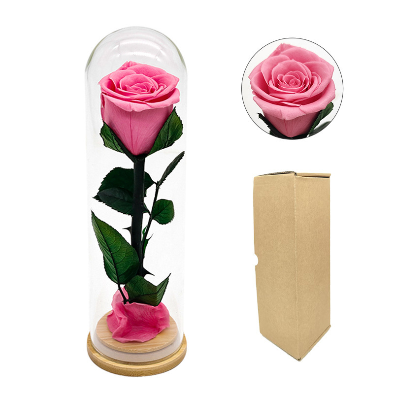 Copertura in vetro [rosa rosa]]