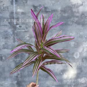 Planta Artificial de Bambú Jinxi de 77 cm, Violeta, Verde, Amarillo, Decoración para el Hogar, Bodas, Accesorios de Fotografía para Exteriores - Product Image 3