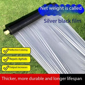 <span class=keywords><strong>Film</strong></span> de paillage plastique anti-UV <span class=keywords><strong>noir</strong></span>, <span class=keywords><strong>film</strong></span> de paillage <span class=keywords><strong>agricole</strong></span> en PE <span class=keywords><strong>noir</strong></span>, couverture de sol en plastique argenté pour la culture du maïs, des fruits et des légumes - Product Image 2