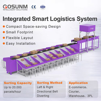 Máquina Clasificadora de Paquetes de Diseño Lineal Compacto, Banda Estrecha, Alto Rendimiento, Alta Precisión y Resistente al Calor para Logística de Comercio Electrónico