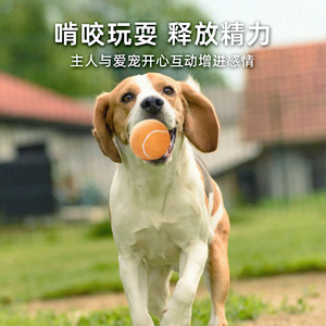 Juego de pelotas de tenis para perros Sloppup, juguete interactivo de fieltro para entrenamiento y entretenimiento de mascotas - Product Image 4