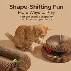 แผ่นข่วนแมวแบบมีลูกบอลในตัว Magic Organ Cat Scratcher Board ของเล่นแมวในร่ม ช่วยเสริมสร้างพัฒนาการทางจิตและร่างกายอย่างเต็มรูปแบบ - Product Image 4