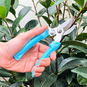Pinheng Pruning Shears 10-20 Mm Bypass Manual Garden <b>Tool</b> For Branches Blue - Product Image 2