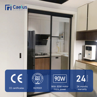 Puerta Corredera Automática de Accionamiento Magnético Simple o Doble, Fácil de Instalar, Silenciosa, Adecuada para Operador de Puerta Eléctrica de Empuje y Tracción