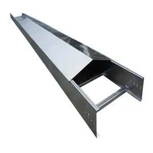Aangepaste Hoge Kwaliteit Kabel Ladder Type/Kanaal Type Kabel Trays