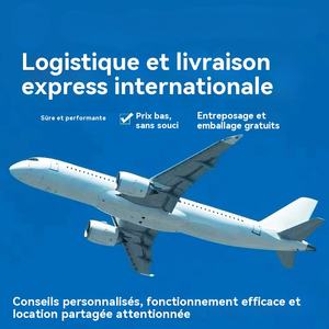 Sites d'achats International Maroc Site Chine Achat Magasin chinois en vrac Agent de transport Transitaire Chine vers <span class=keywords><strong>Guadeloupe</strong></span> - Product Image 3