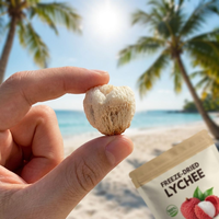 OEM Gedroogde Lychee Zonder Pit en Schil FD Lychee Chips 100% Natuurlijk Tropisch Fruit Snacks Zonder Toegevoegde Suiker Groothandel Bulk