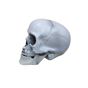 Mini <span class=keywords><strong>Skull</strong></span> Head Halloween <span class=keywords><strong>Skull</strong></span> Trang Trí Trang Trí Điêu Khắc Quà Tặng Cho Halloween Nhựa Mô Phỏng Hộp Sọ - Product Image 3