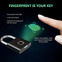 Mini cadenas intelligent Identification rapide Alarme de faible puissance Serrure intelligente d'empreintes digitales sûre