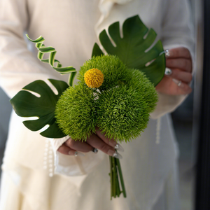 WASABI GREEN TRICK DIANTHUS 26cm <span class=keywords><strong>Bouquet</strong></span> de prairie pour micro-mariage, <span class=keywords><strong>bouquet</strong></span> de demoiselle d'honneur, petit centre de table, plante botanique permanente - Product Image 2
