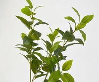 Künstliche Lorbeer-Osmanthus-Blätter Weiche Plastik-Kunstblumenzweige 30-100cm für Innen- und Außenbereich Garten-Landschaftsgestaltung