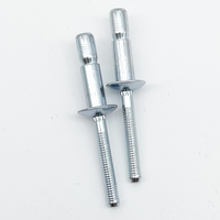 Rivets tubulaires mono-boulons en acier inoxydable, finition brillante, multi-normes, rivets aveugles