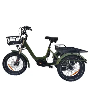 Electric Fat Trike 20inch Cargo 1000w Electric Tricycle Mid Drive 3 Wheel Electric Bicycle Fat Tyre 3 Wheel Electric Bike Mountain E Trike