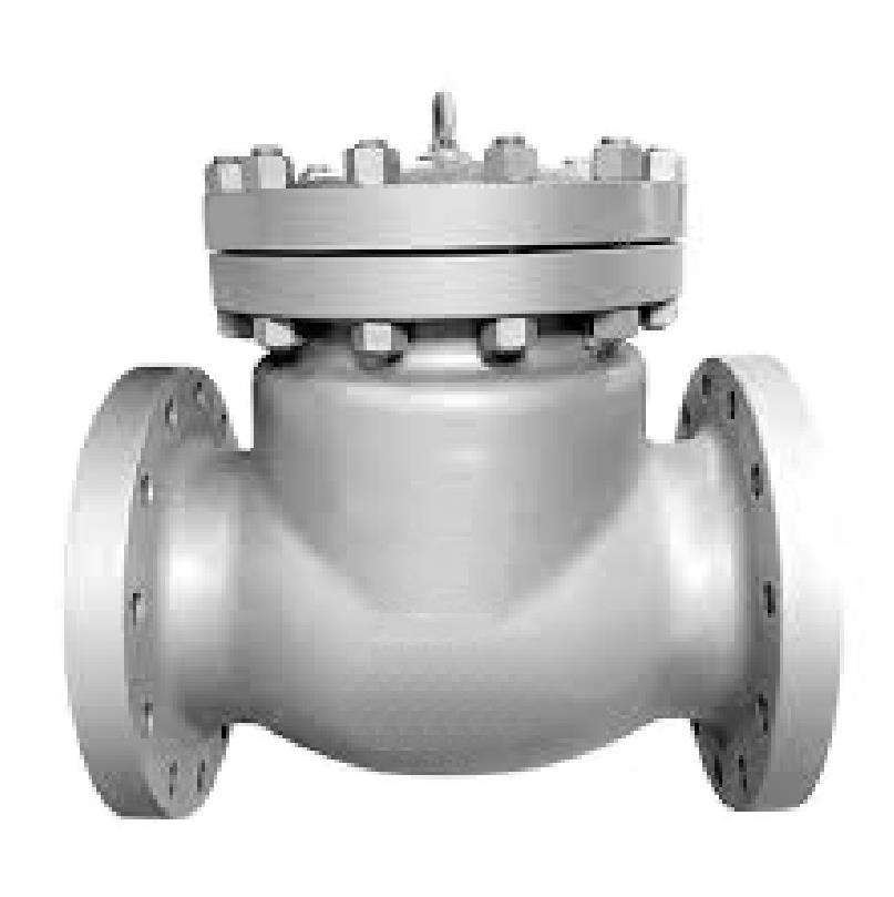 China Factory Durable Multi Single Disc Door Flanged Swing Type Check Valve