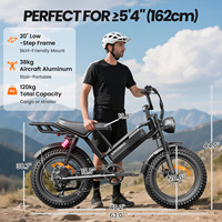 Vélo électrique tout-terrain 20 pouces avec pneus larges, moteur arrière 250W, batterie lithium 48V intégrée, entrepôt US
